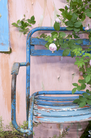 Folding chair and rosesの写真素材