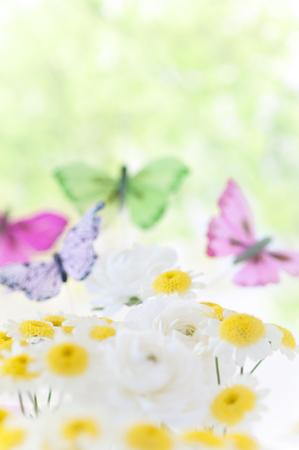 Flower garden and butterflyの写真素材