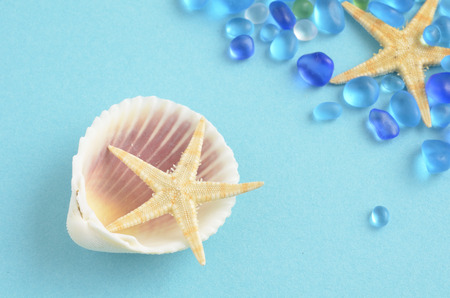Blue stone and shells and starfish that the image of the seaの写真素材