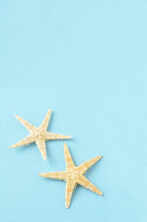 Starfish taken in blue backgroundの写真素材