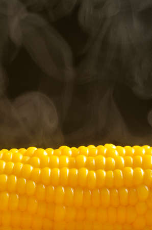 boiled cornの写真素材