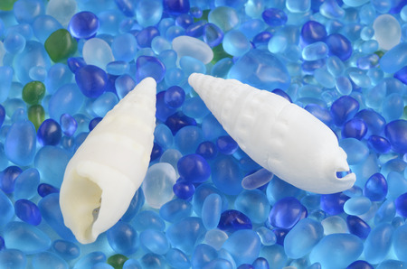 Blue stone image of sea and shellsの写真素材