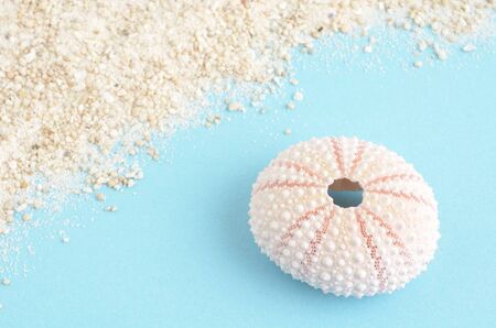 Sea sand and shellsの写真素材