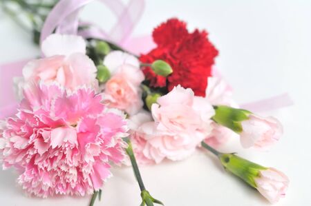 Carnation bouquetの写真素材