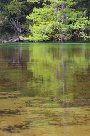 Fresh on the Highlandsの写真素材