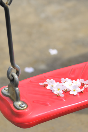 Flowers on the Blancoの写真素材