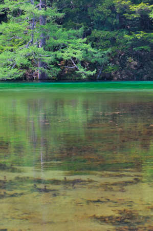 Fresh on the Highlandsの写真素材