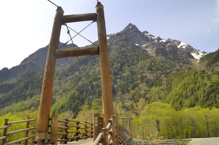 Fresh on the Highlandsの写真素材