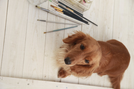 Miniature and art suppliesの写真素材