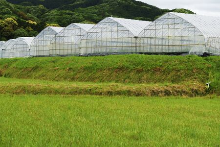 Plastic greenhouseの写真素材