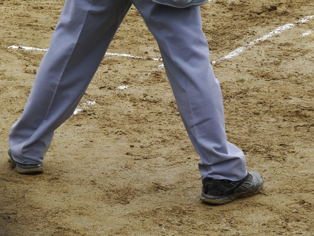 Leg of plate umpire of grass baseballの写真素材