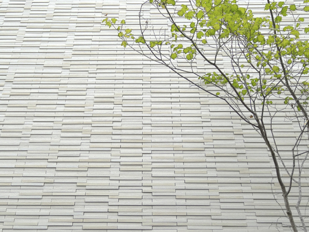 The outer wall of the housing