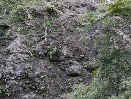 Landslide of mountainsideの写真素材