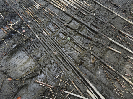 Dirt road that is lined with bars of bamboo slip