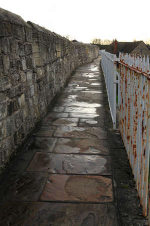 York city wallsの写真素材
