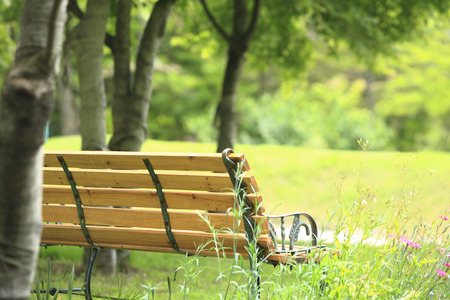 Park bench