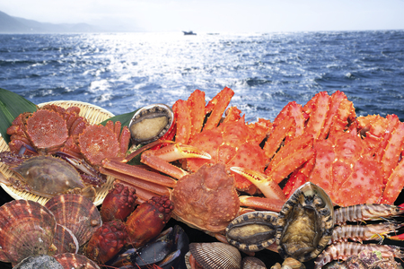 Fish and seafoodの写真素材