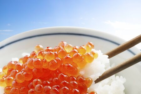 Salmon and riceの写真素材