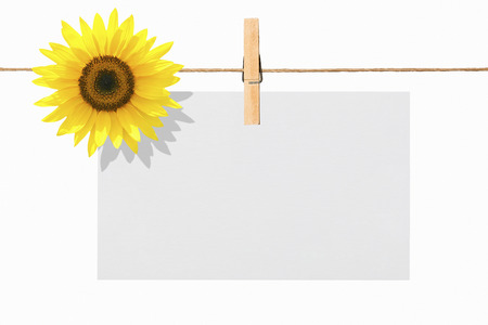 Message cardの写真素材