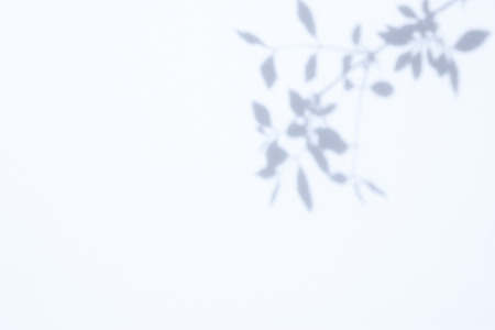 Leaf silhouette