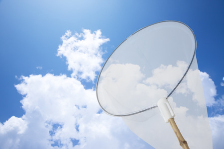 Insect catching networkの写真素材