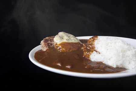 Large hamburger Curryの写真素材