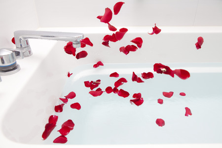 Rose petals