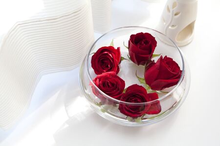 Rose flowersの写真素材