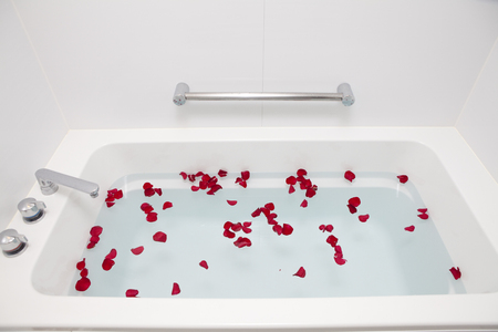 Rose petalsの写真素材