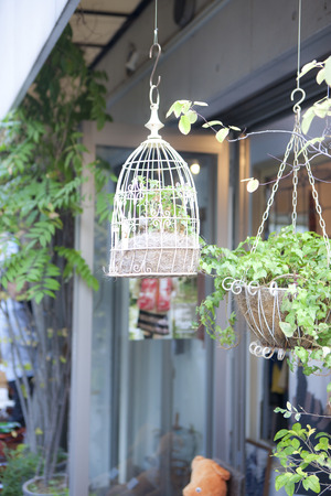Hung planterの写真素材