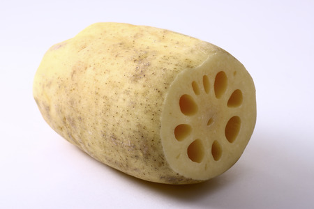 Lotus rootの写真素材