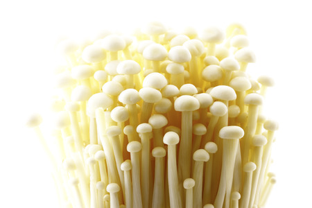 Enoki mushroomsの写真素材
