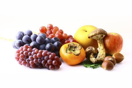 Taste of autumnの写真素材