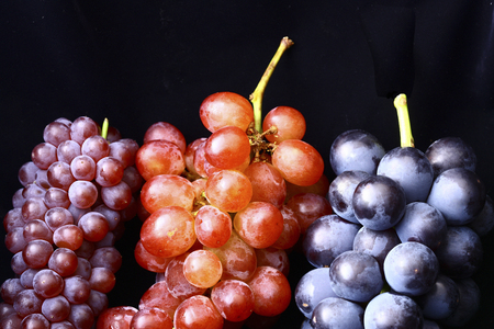 Grapeの写真素材