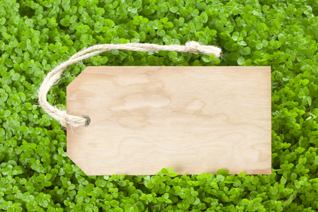 Wooden tags and shootsの写真素材