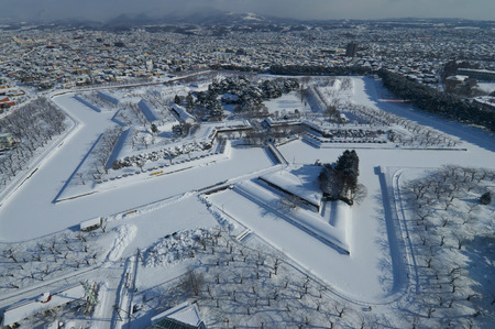 Of star-shaped Goryokakuの写真素材