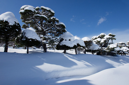 Winter sceneryの写真素材