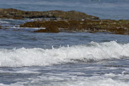 Take the wave crest in the surf high speed shutter