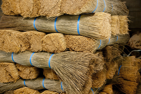 Drying of rushの写真素材