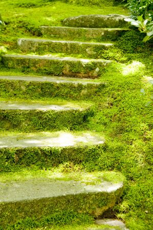 Stairs of mossの写真素材