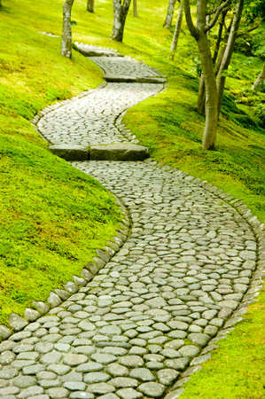 Cobbled alley wrapped in greenの写真素材