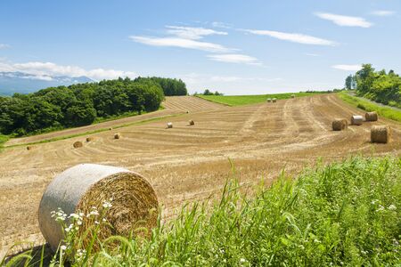 Blue sky and hay