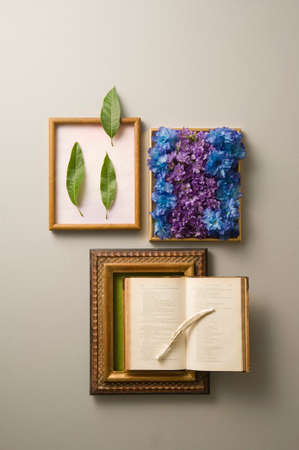 Old book and flowersの写真素材