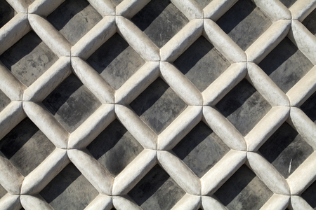 Sea cucumber wallの写真素材