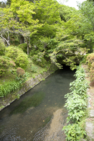 Ono water