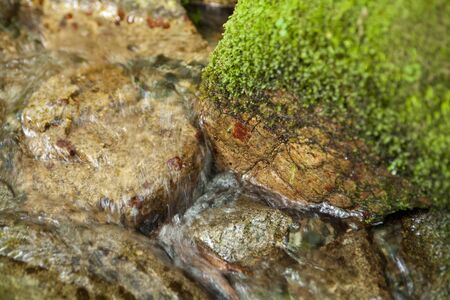 Shimizu flowingの写真素材