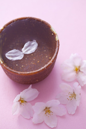 Cherry Blossom Wineの写真素材