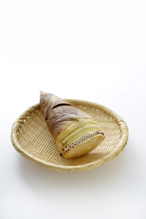 Bamboo shootsの写真素材