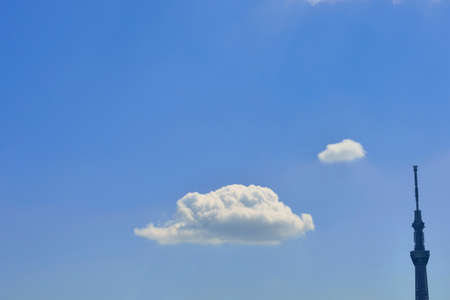 Blue sky and clouds and sky tree