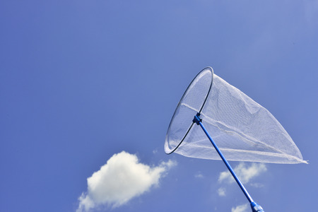 Butterfly netの写真素材
